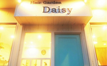 �ܾ븩����ԡ�Hair Garden Daisy��