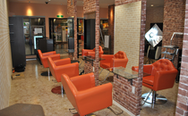 ark����Ź��